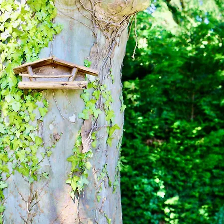 L'escale Du Cedre Alpstuga *